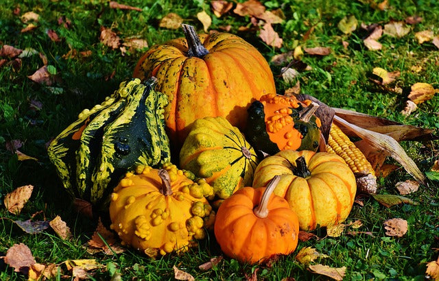 Aggiungi un tocco di autunno alla tua casa con la nostra linea di decorazioni autunnali. In negozio e online su tuttochic.it