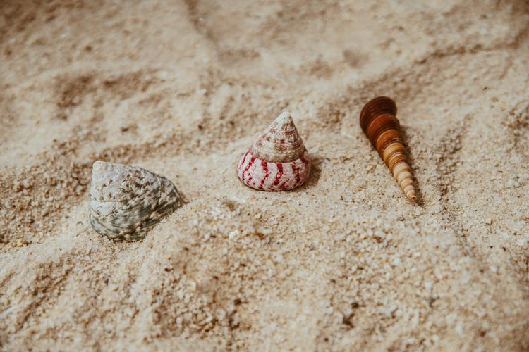 Ideale per le tue vacanze al mare o per il tempo libero in genere, il telo mare è l'accessorio perfetto per le tue giornate al sole all'insegna del relax e dell'armonia. Selezione di prodotti di qualità su tuttochic.it