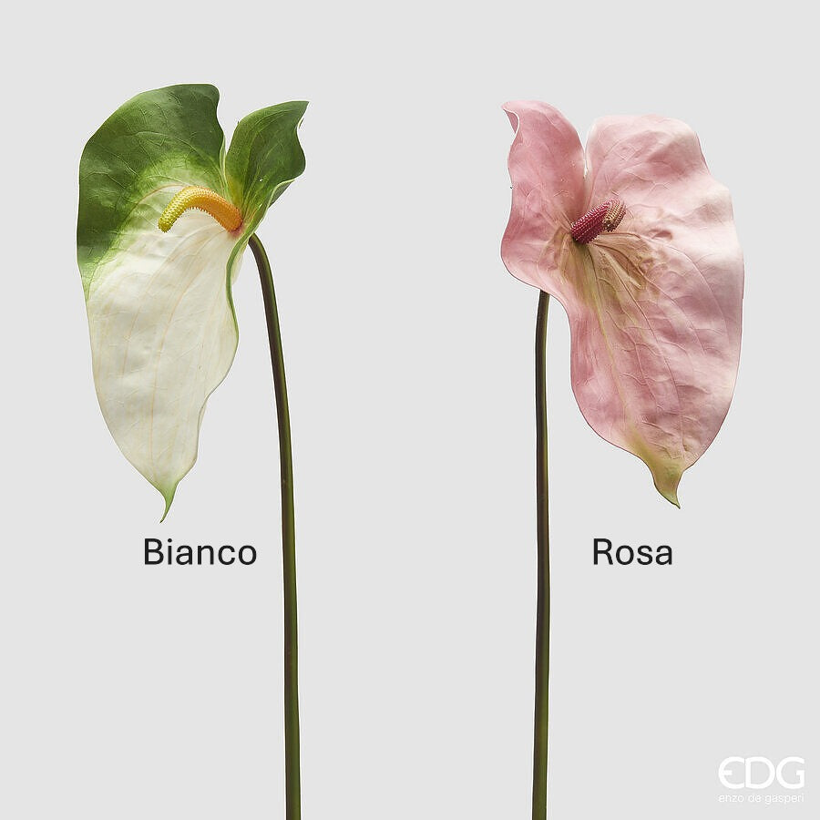 Ramo di Anthurium bianco o rosa. Con il suo fiore artificiale, questo ramo aggiunge un tocco di natura e bellezza a qualsiasi ambiente. Dimensioni: h cm 75. In negozio e online su tuttochic.it