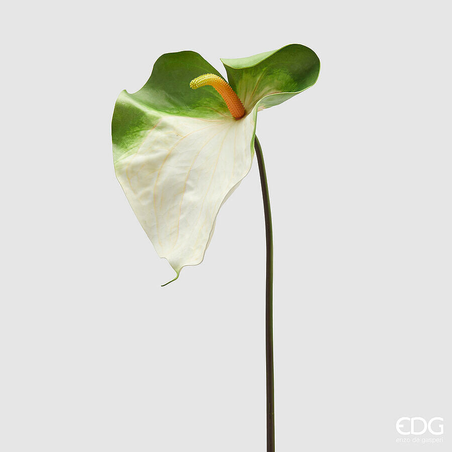 Fiore Anthurium jumbo di colore bianco con sfumature verde aggiungerà un'atmosfera fresca e lussureggiante al tuo ambiente. Dimensioni: altezza cm 90. In negozio e online su tuttochic.it