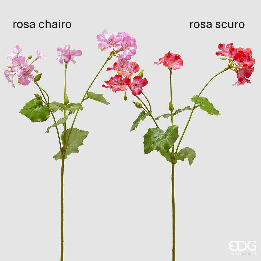 Begonia ramo con foglie h 75 prezzo cadauno