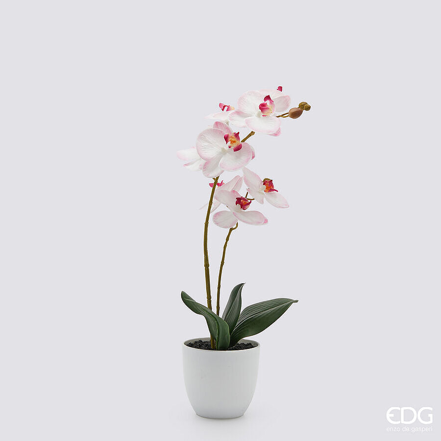 Scopri l'eleganza eterea dell'orchidea Phalaenopsis, resa ancora più incantevole dal fiore artificiale con petali in lattice decorato. Dimensioni: altezza cm 50 - Vasetto Ø 11,5 cm. In negozio e online su tuttochic.it