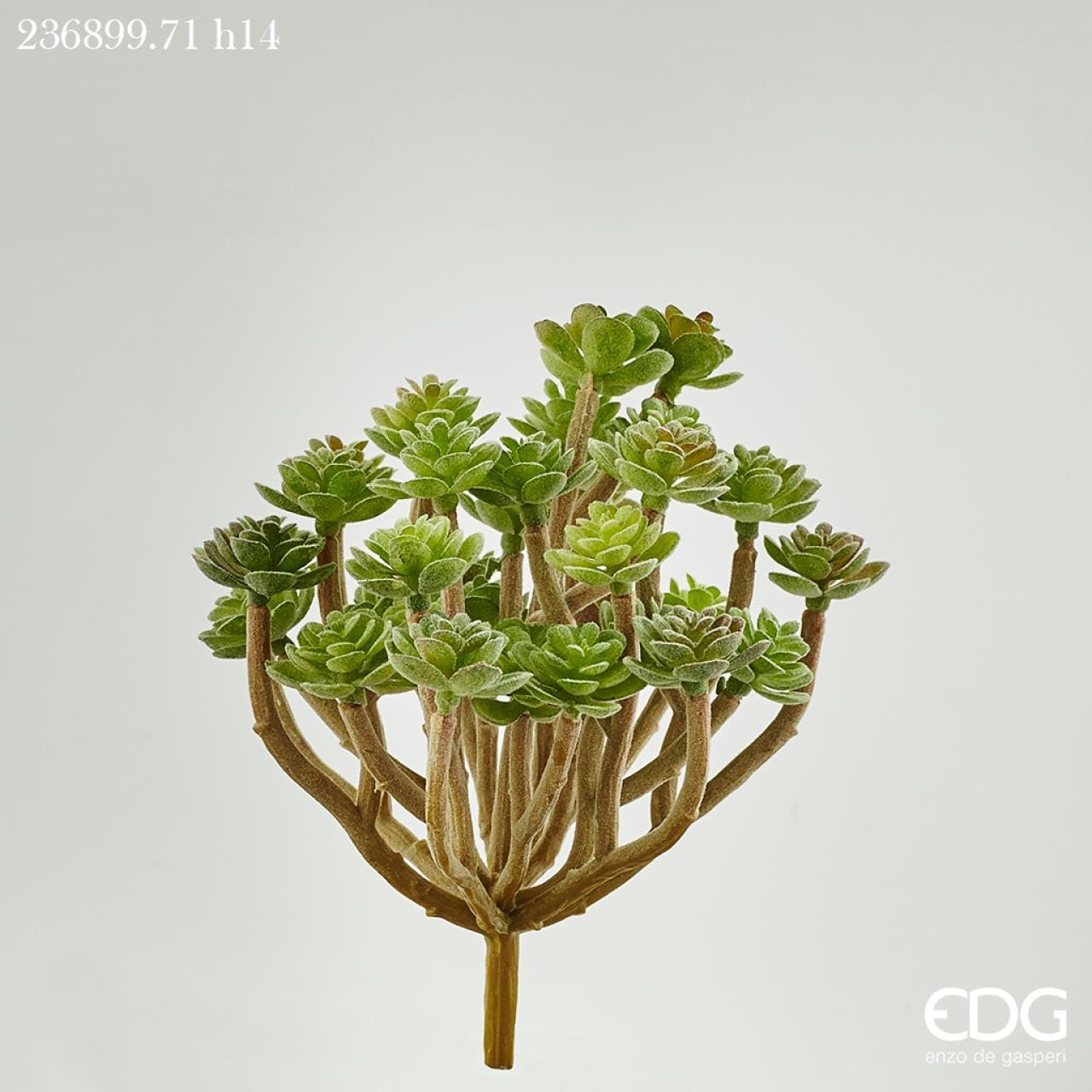 Piantina artificiale di Succulent in plastica decorata, ideale per composizioni. Dimensioni: cm 12 x 14 h Uso decorativo, tenere fuori la portata dei bambini. In negozio e online su tuttochic.it