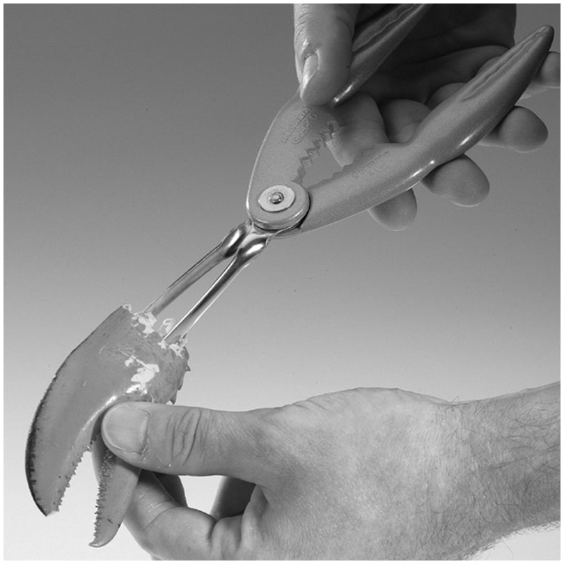 Pinza aragosta e pinzetta in acciaio inox Westmark Black Edition