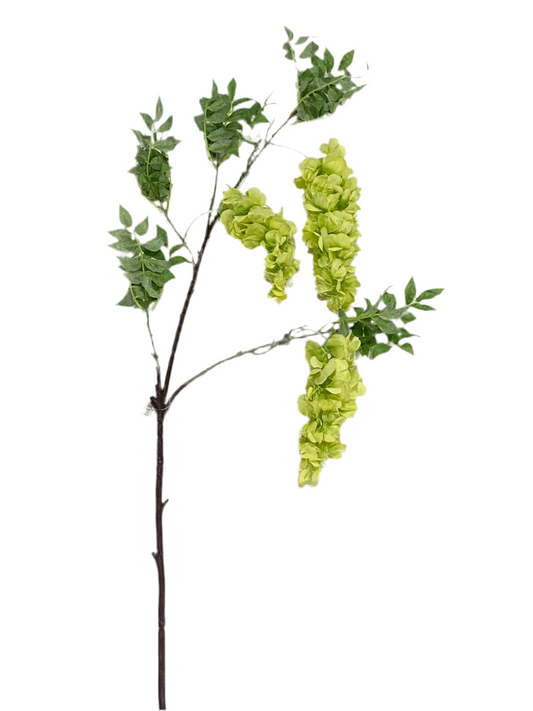 Glicine verde è perfetto per aggiungere un tocco di natura alla tua casa senza l'incombenza di doverlo curare! Con un ramo in plastica resistente e petali e foglie in tessuto realistici Dimensioni: cm 112. In negozio e online su tuttochic.it