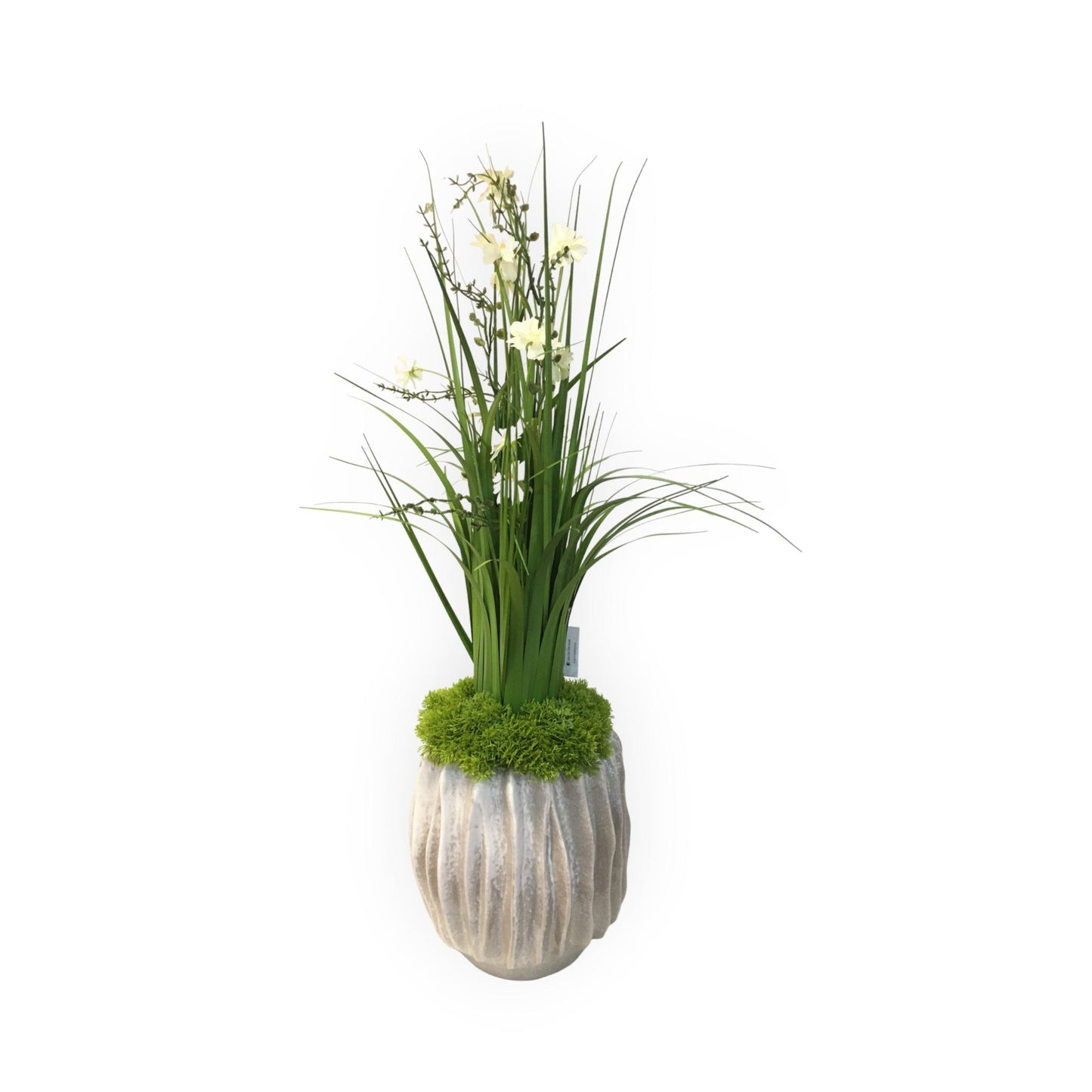 Composizione Vaso Chakra piccolo con festuca. Il vaso in ceramica avorio e la festuca con fiorellini bianchi emettono sensazioni di serenità, mentre il muschio verde dona un tocco naturale. Perfetta per aggiungere un'atmosfera armoniosa alla tua casa o ufficio. Dim: Ø cm 22,5 x h cm 75. In negozio e online tuttochic.it