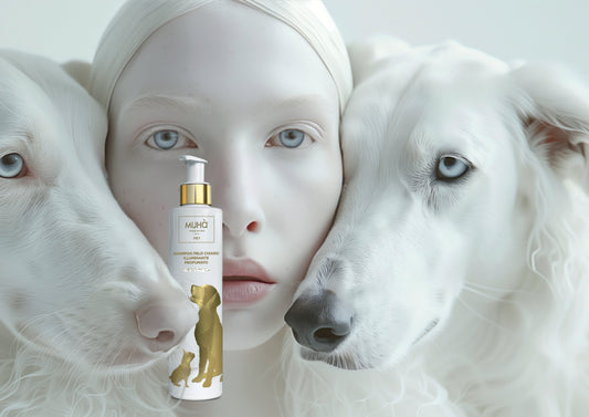 Shampoo specifico per la cura e la bellezza dei manti chiari e bianchi dei cani, formulato con aloe vera, estratto di papaya, estratto di calendula e infuso di fiori di camomilla.  Quantità: 200 ml.In negozio e online su tuttochic.it