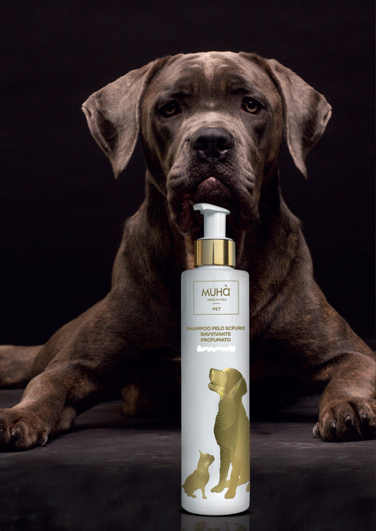 Shampoo specifico per la cura e la bellezza dei manti scuri dei cani, formulato con aloe vera, estratto di papaya, estratto di calendula e infuso di fiori di camomilla.  Quantità: 200 ml.In negozio e online su tuttochic.it