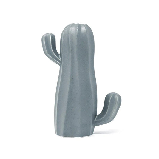 Cactus Umidificatore