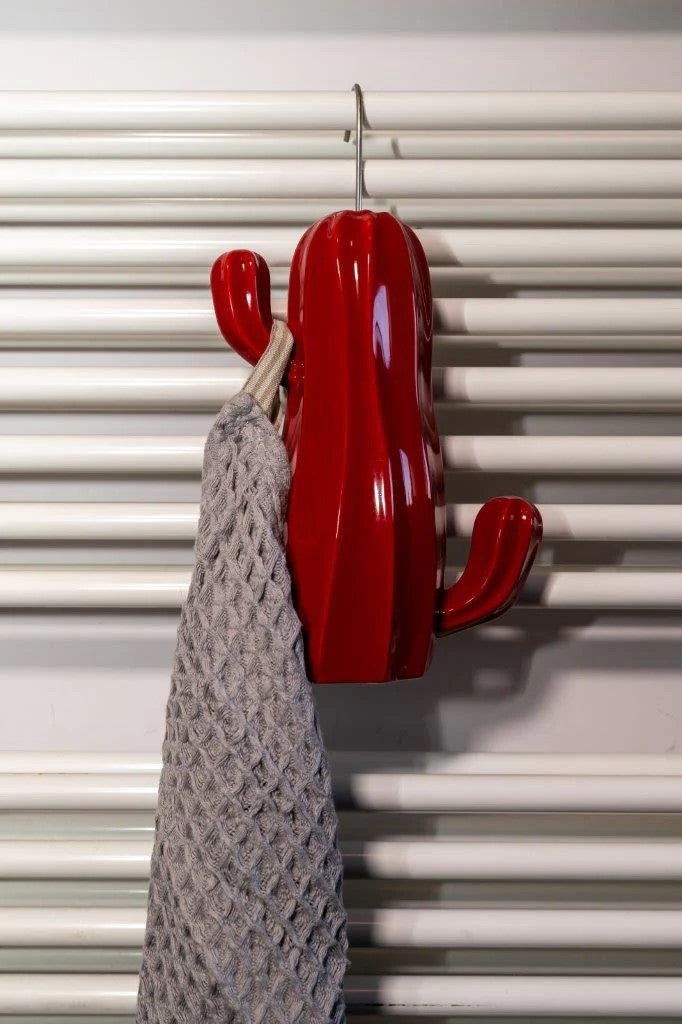 Cactus Umidificatore