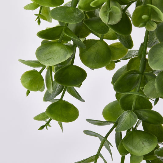 Cespuglio cadente di Eucalipto artificiale di colore verde. Dimensioni: lungo cm 75 - Materiale: plastica. In negozio e online su tuttochic.it.