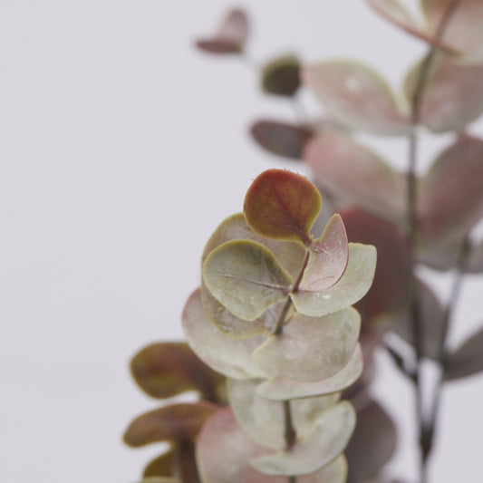 Cespuglio di Eucalipto artificiale di colore verde/rosa. Dimensioni: h cm 56 - Materiale: plastica. In negozio e online su tuttochic.it.