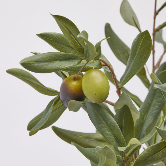 Questo mazzo di olivo alto 41 cm è realizzato in plastica verde di alta qualità. Con le olive realistiche, aggiungerà un tocco di natura alla tua casa. Realizzato con materiali resistenti, è perfetto per decorazioni durature. Abbinamento completo con Corona Olivo con olive. In negozio e online su tuttochic.it.