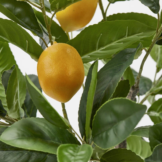 Pianta artificiale di limoni con frutti in vaso. Dimensioni: altezza cm 70 - Vaso cm H10 D15. In negozio e online su tuttochic.it.