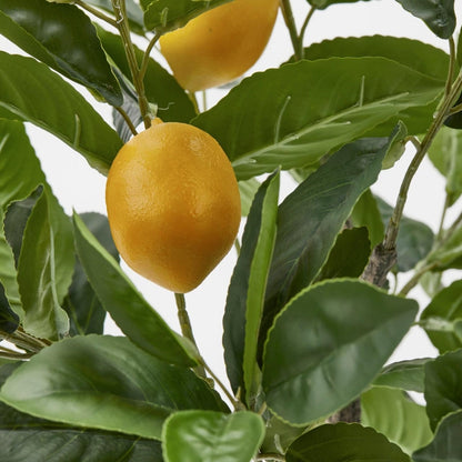 Pianta artificiale di limoni con frutti in vaso. Dimensioni: altezza cm 70 - Vaso cm H10 D15. In negozio e online su tuttochic.it.