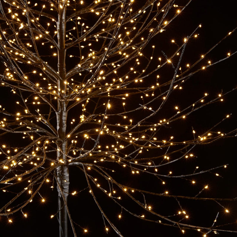 Albero di Faggio in metallo di colore nero con 580 led da 2.2 mm cm 150 h