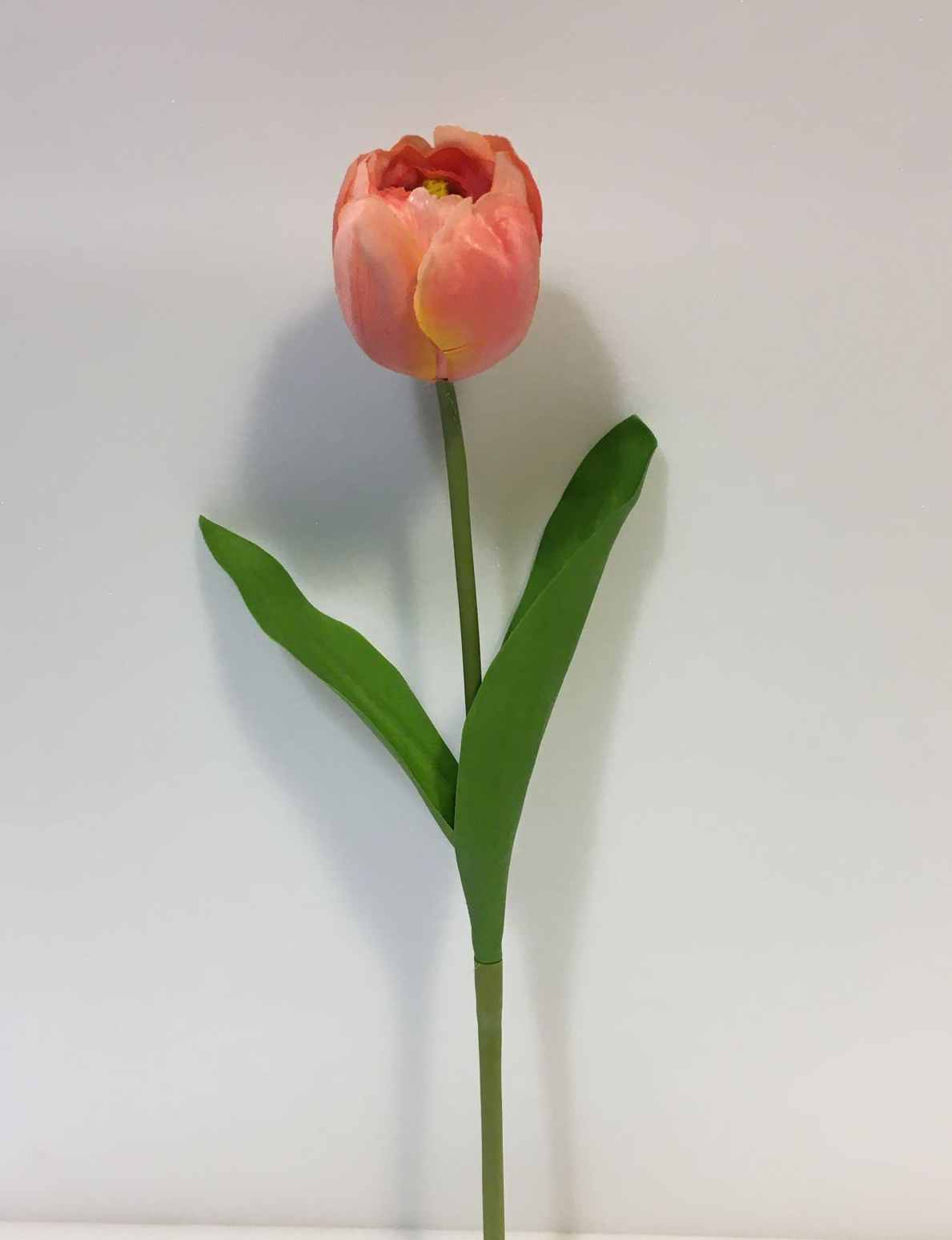 Tulipano Tex rosa, fiori artificiali, EDG