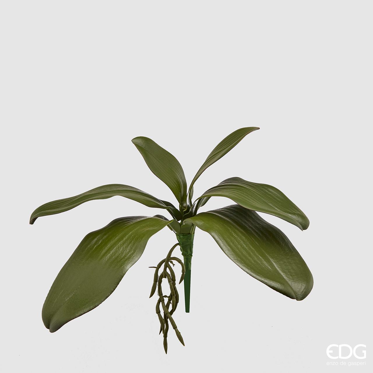 Foglie di Orchidea con radice ornamentale artificiale. Ideali per arricchire composizioni varie. Dimensioni: altezza cm 27. In negozio e online su tuttochic.it