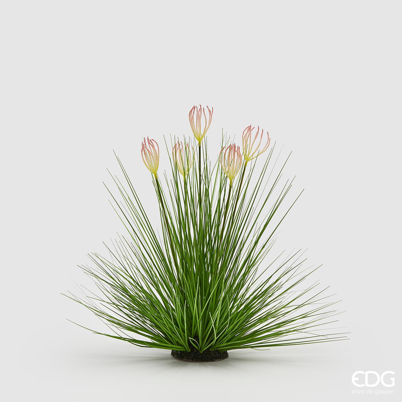 Pianta di festuca ornamentale artificiale con zolla e 5 fiori. Dimensioni: cm 25 x 42 h. In negozio e online su tuttochic.it