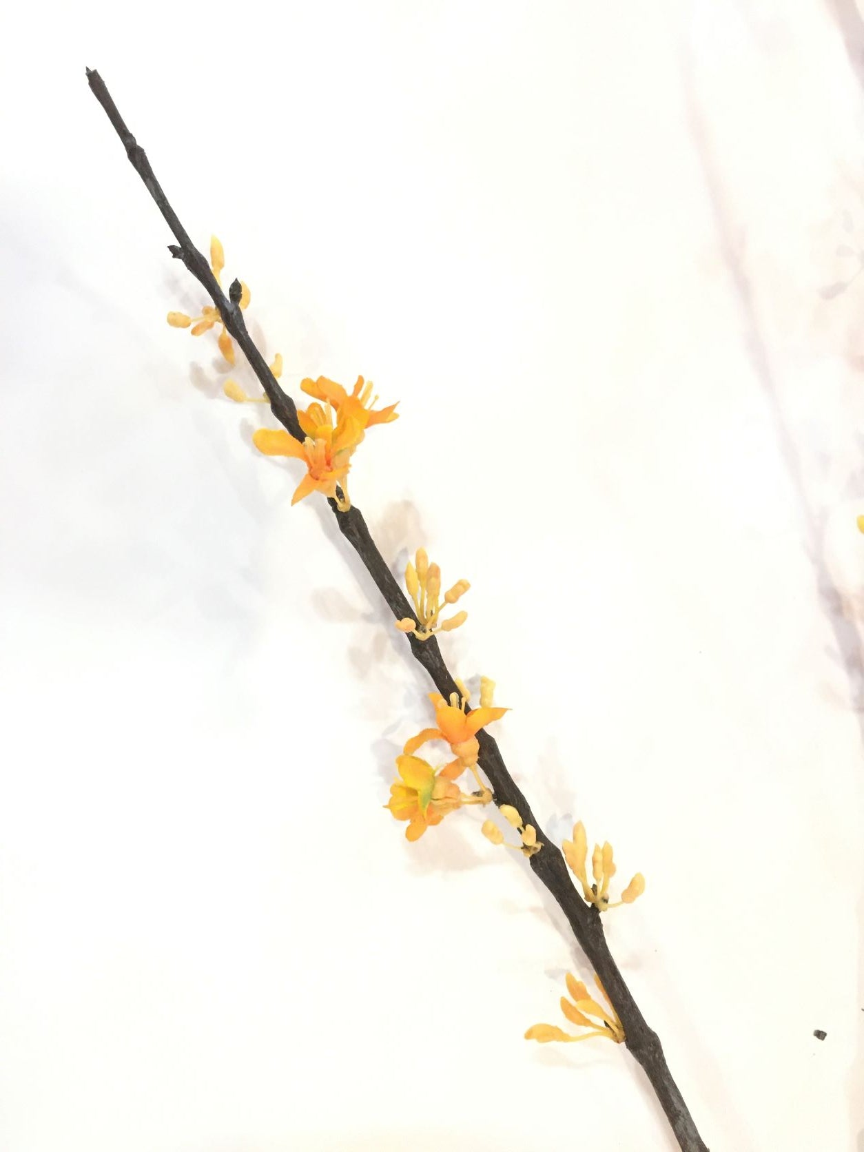 Ramo artificiale di albero di Giuda arancio/giallo. Dimensioni: lunghezza cm 160. In negozio e online su tuttochic.it