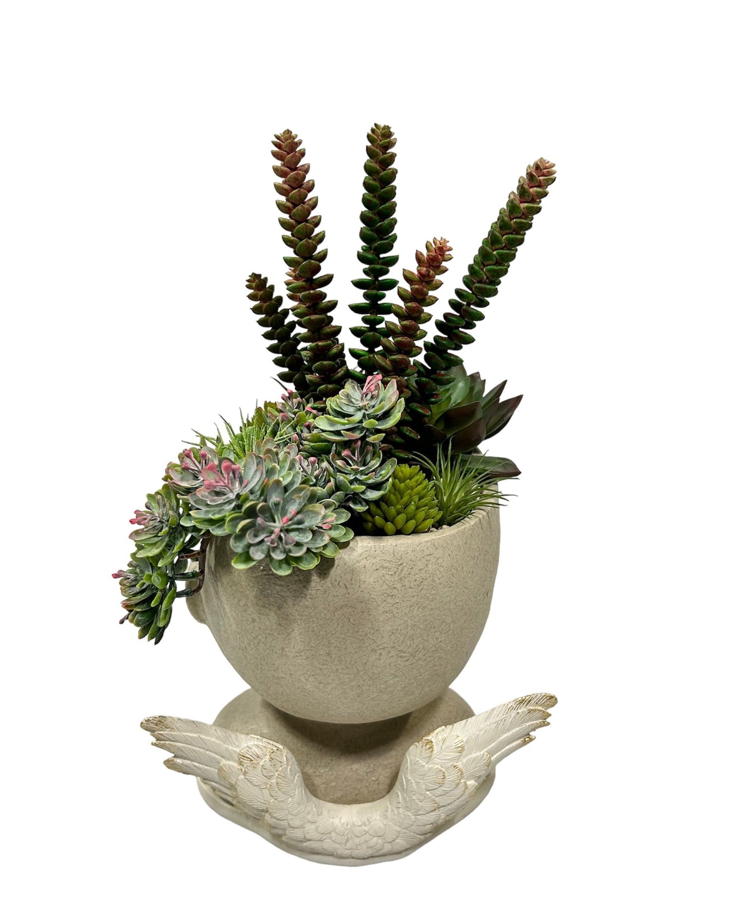 Cachepot in resina decorata composta da due pezzi separati: base con ali e testa con composizione di piante grasse artificiali. Dimensioni: cm 20 x 21 x h 39. In negozio e online su tuttochic.it