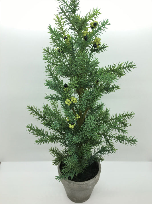 Pino artificiale con bacche in vaso di plastica di colore grigio effetto cemento . Dimensioni: cm 40 altezza