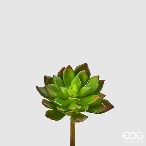 Pianta artificiale di Succulent Pick in plastica decorata. Dimensioni: cm 10 x 14 h. Uso decorativo, tenere fuori la portata dei bambini. In negozio e online su tuttochic.it