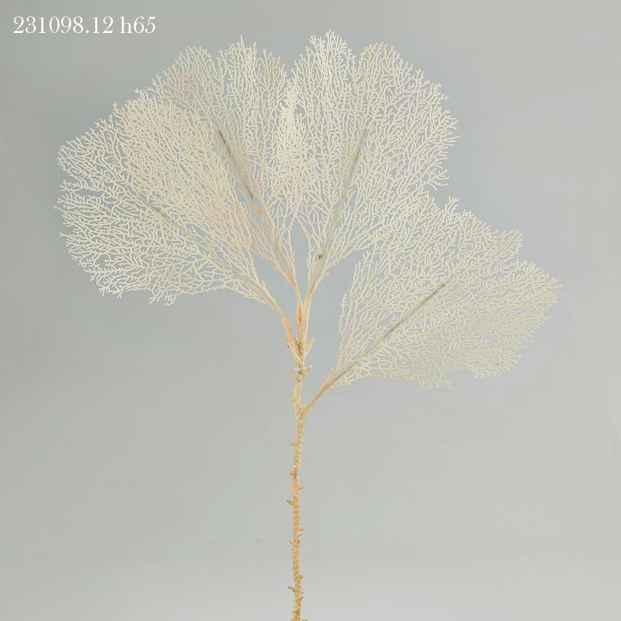 Ramo di Gorgonia (corallo) artificiale di colore avorio. Dimensioni: cm 45 x 65 h Inserito in una composizione di fiori, nell'acquario, il corallo dà volume e un aspetto più raffinato.