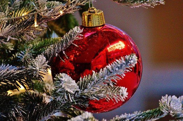 Le decorazioni natalizie per l’albero sono importanti, creano l'atmosfera magica che si respira durante le feste, riflettono più che mai il nostro stile e i nostri gusti. Scegli le decorazioni particolari ed eleganti su tuttochic.it