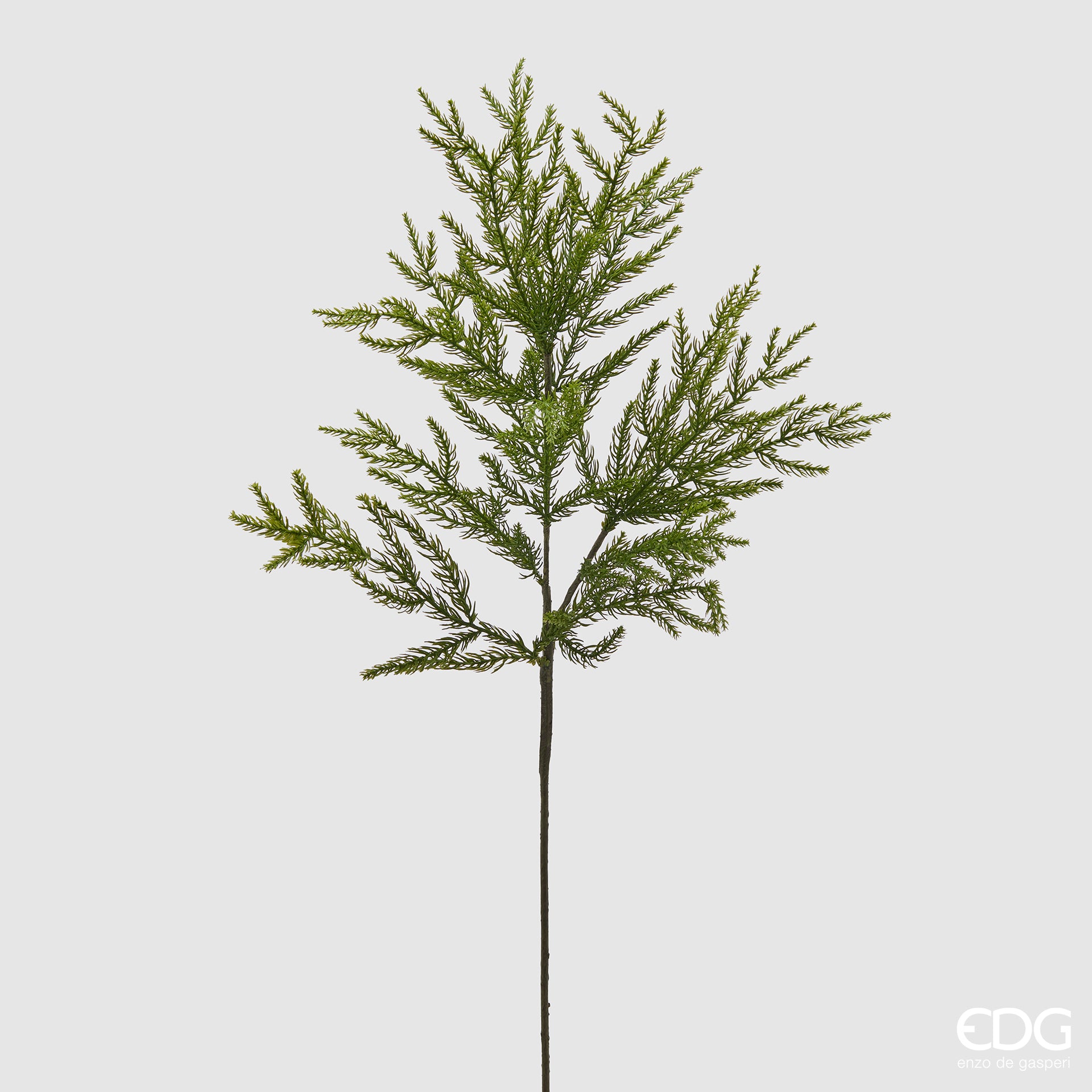 Aggiungi un tocco di natura alle tue composizioni floreali e natalizie con il ramo Cryptomeria artificiale (Cedro giapponese). Il ramo offre un aspetto realistico e senza manutenzione, perfetto per decorare ogni spazio con eleganza e stile. Dimensioni: lungo cm 84. In negozio e online su tuttochic.it