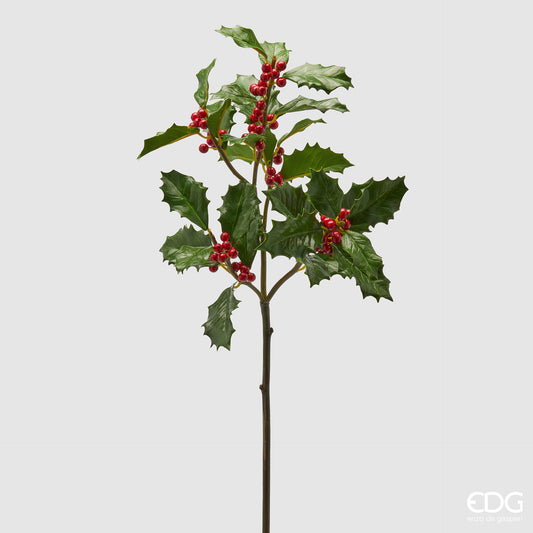 Decorazione Di Agrifoglio Di Natale Con Fiore Di Stella Di Natale Rami Di Agrifoglio Con Decorazione Di Agrifoglio Di Natale Con Fiore Di Stella Di Natale Rami Di Agrifoglio Con