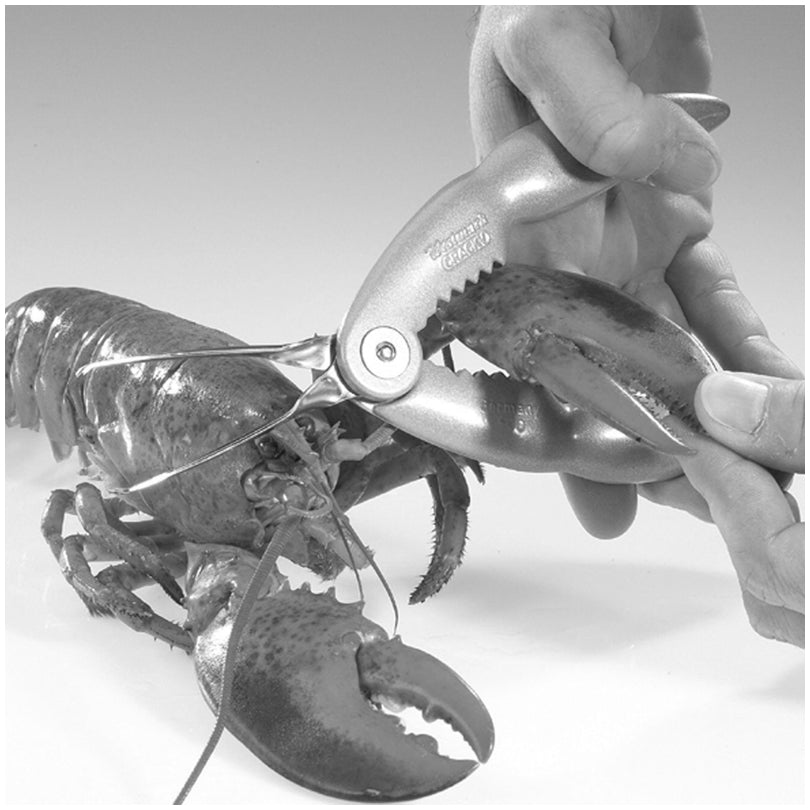 Pinza aragosta e pinzetta in acciaio inox Westmark Black Edition