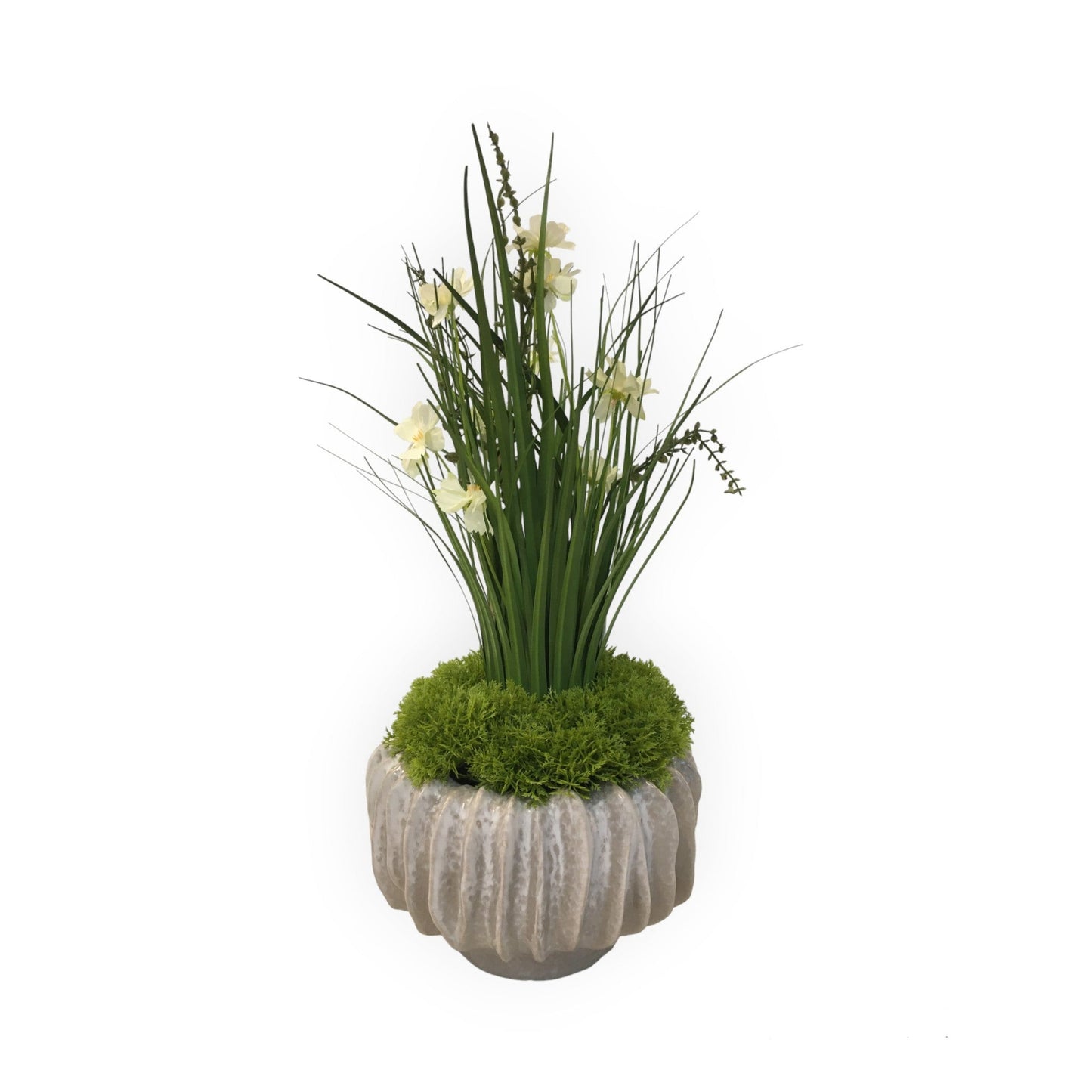 Composizione Vaso Chakra piccolo con festuca. Il vaso in ceramica avorio e la festuca con fiorellini bianchi emettono sensazioni di serenità, mentre il muschio verde dona un tocco naturale. Perfetta per aggiungere un'atmosfera armoniosa alla tua casa o ufficio. Dim: Ø cm 20 x h cm 50. In negozio e online tuttochic.it