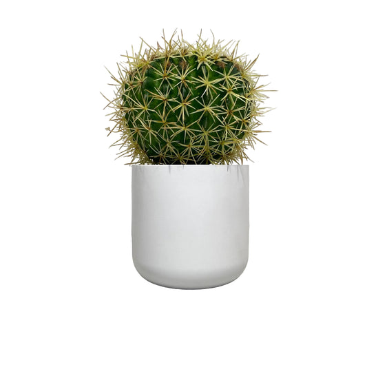 Porta il design di Enzo De Gasperi in casa tua con l'Echinocactus Bell. Pianta artificiale iper-realista in vaso di ceramica bianca. Scoprila su Tutto Chic.