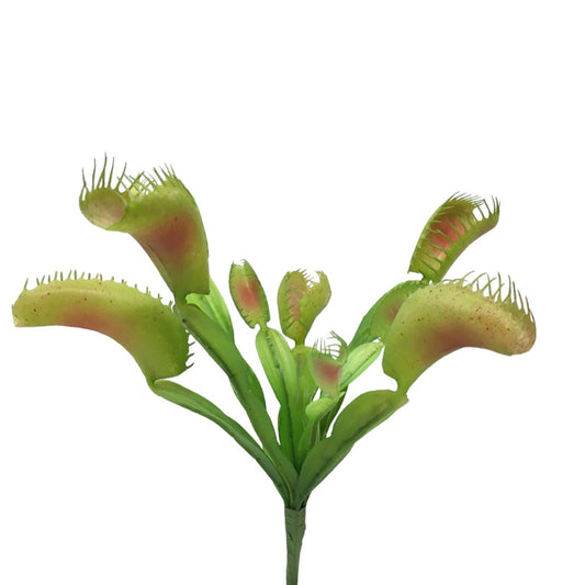 Pianta artificiale di Dionaea Carnivora in plastica decorata. Dimensioni: cm 22 x 25 h. Uso decorativo, tenere fuori la portata dei bambini. In negozio e online su tuttochic.it