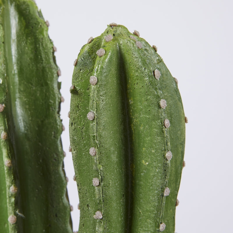 Pianta Cactus Columnaris artificiale (del Messico) in vaso. Dimensioni: cm h 155 - Vaso in plastica cm 17 x 15 h. In negozio e online su tuttochic.it.
