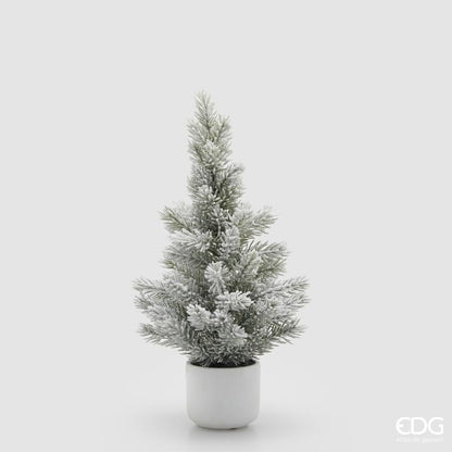 Pino innevato EDG 50 cm con vaso in ceramica bianca

