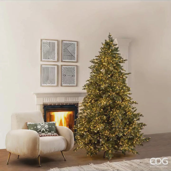 Albero di Natale EDG Pino Argentato h 240 cm con 5000 led
