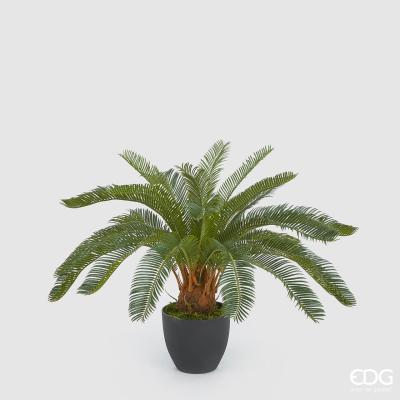 Pianta di palma cycas ornamentale artificiale 24 foglie con vaso in PVC. Dimensioni: altezza cm 72. In negozio e online su tutttochic.it
