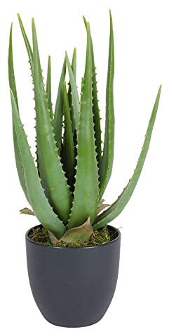 Pianta artificiale Aloe Chic cm 45