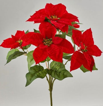 Mazzo 5 stelle di Natale rosse con foglie vellutate. Dimensioni: altezza cm 47. In negozio e online su tuttochic.it