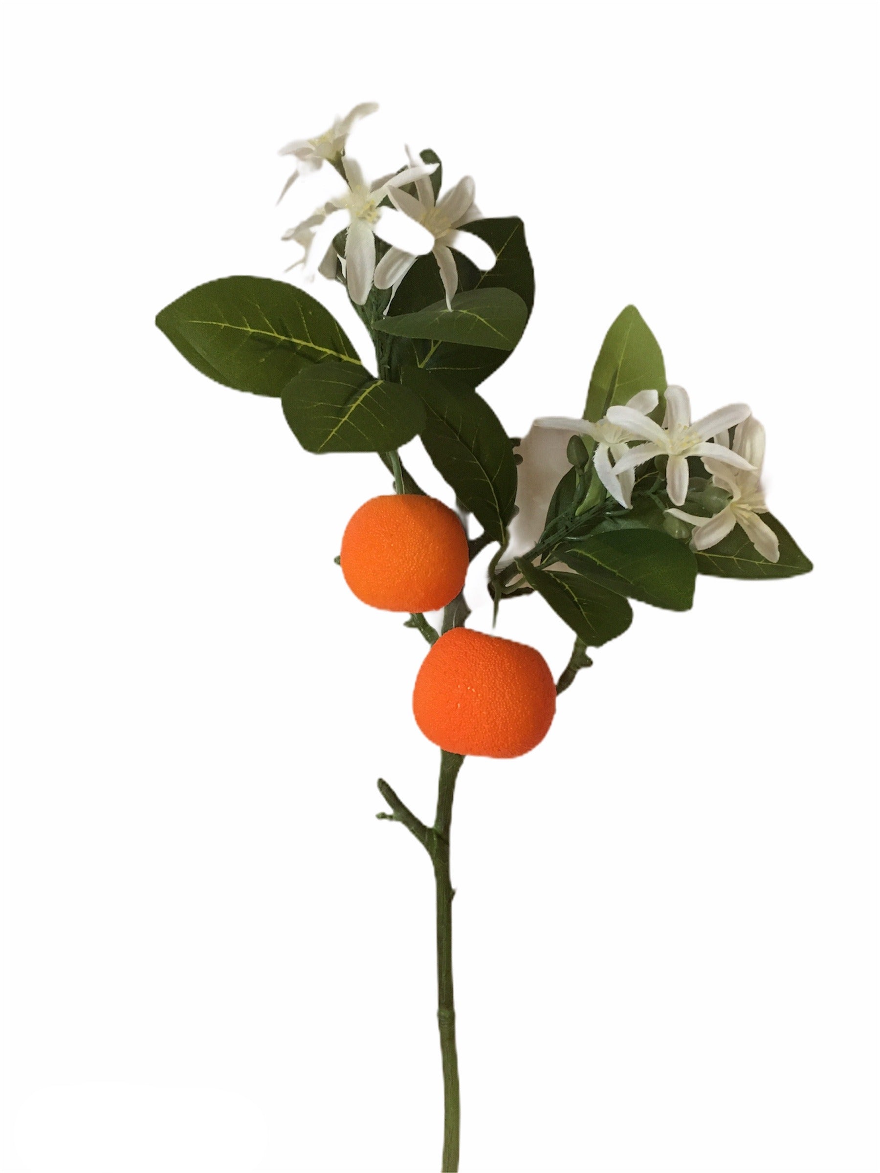 Rametto di arancio con fiori e frutti. Dimensioni: cm 43 h
