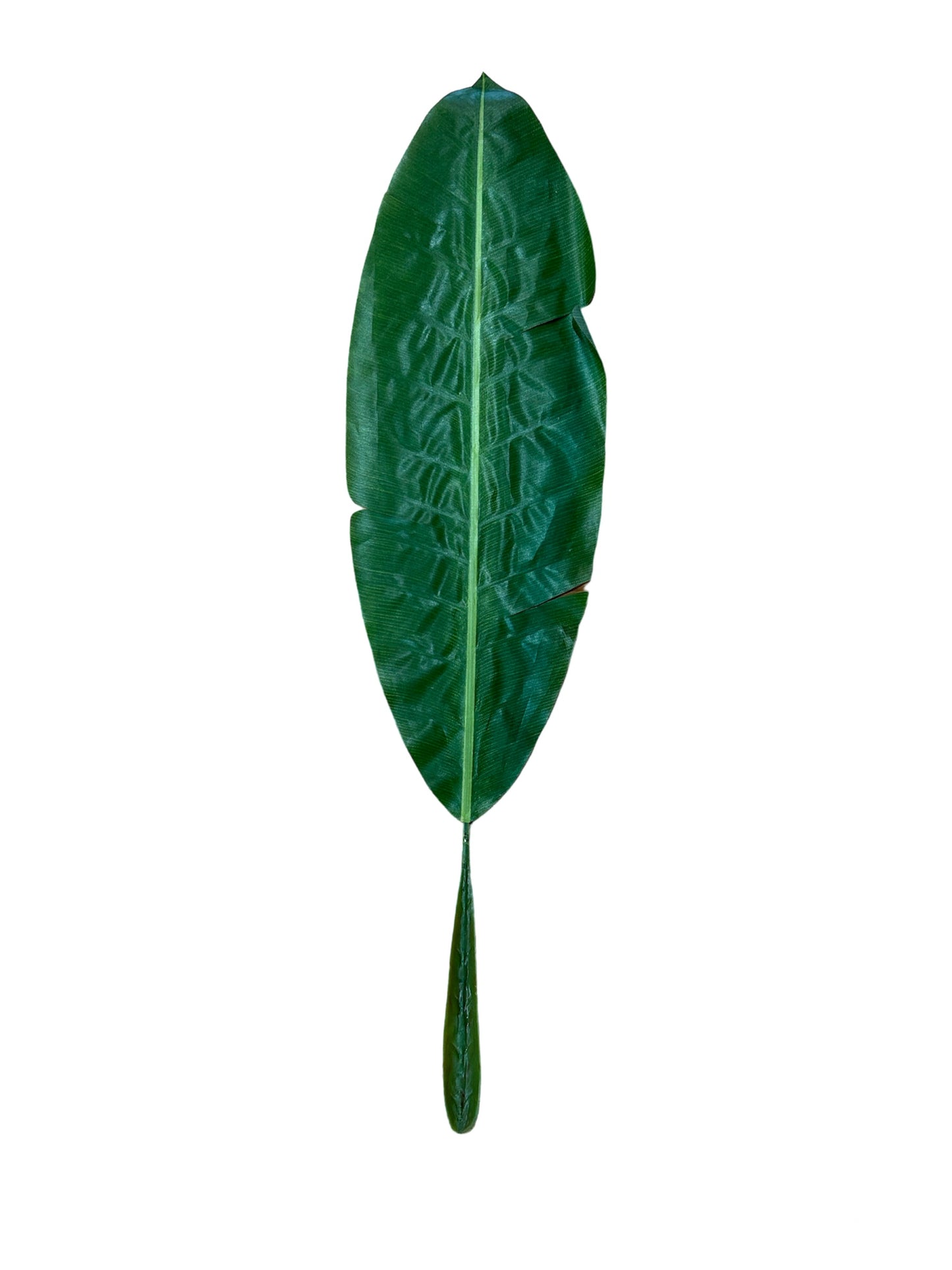 Foglia di Banano artificiale in plastica di colore verde. Dimensioni: cm 109 x 27. In negozio e online su tuttochic.it