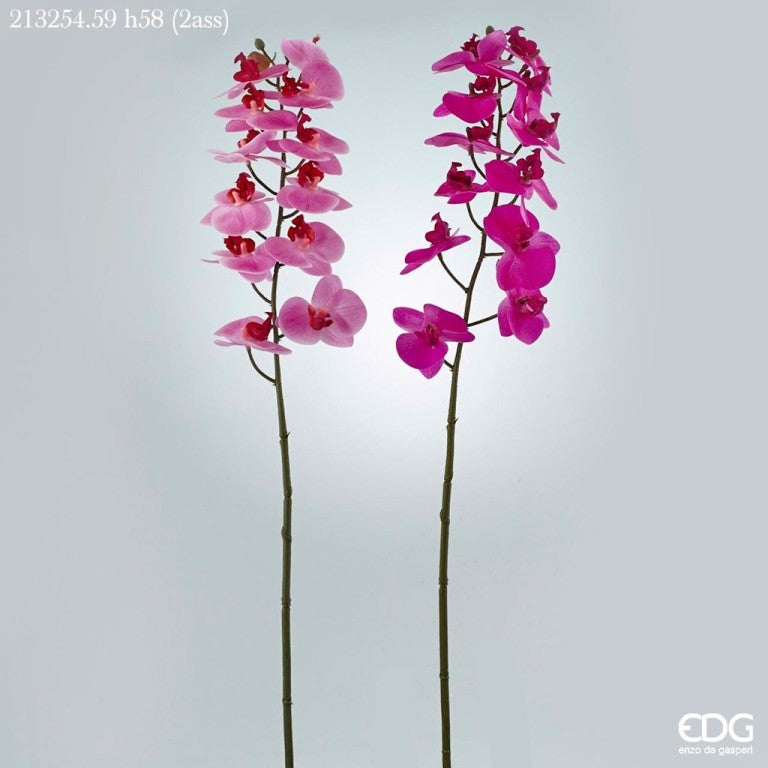 Orchidea Real artificiale cm. 58 sfumata in due colori, rosa e fuxia, ideali per abbellire qualsiasi ambiente. Petali in lattice, ramo in plastica. In negozio e online su tuttochic.it